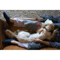 ACORN Mens Fave Gore Slippers 13 ACORN Mens Fave Gore Slippers -The Warming Store acorn men s fave gore slippers 113