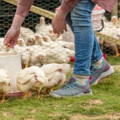 Muck Womens Outscape Lace Up Shoes - Dark Grey/Teal/Pink -The Warming Store muck women s outscape lace up shoes dark grey teal pink 116