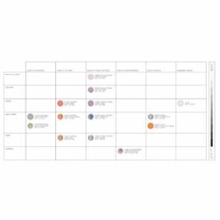 POC Fovea Ski Goggles Partly Sunny Orange Lens - Uranium Black Frame 11 POC Fovea Ski Goggles Partly Sunny Orange Lens - Uranium Black Frame -The Warming Store poc fovea ski goggles partly sunny orange lens uranium black frame 12