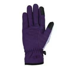 Seirus Womens Heatwave ST Sierra Fleece Gloves -The Warming Store seirus women s heatwave st sierra fleece gloves 119